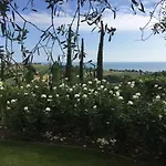 Cecalina * Civitanova Marche