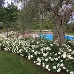 Kır Evi Cecalina *
