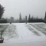 Cecalina