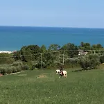 Cecalina * Civitanova Marche