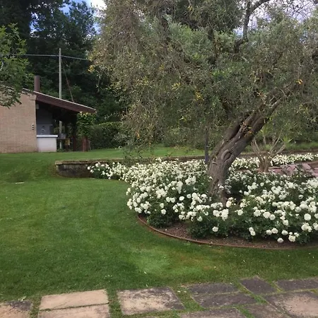 Cecalina * 시비타노바 마르셰