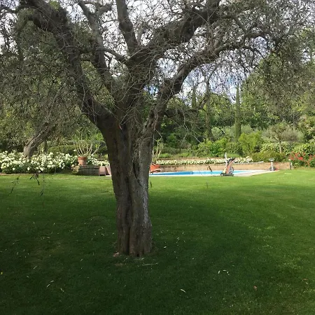 Cecalina 컨트리하우스 시비타노바 마르셰