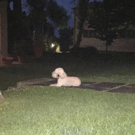 Cecalina 컨트리하우스