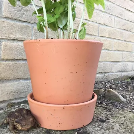 Cecalina Country house Civitanova Marche