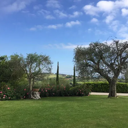 Cecalina Civitanova Marche