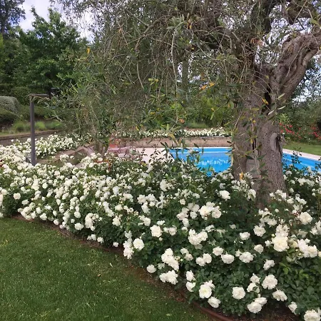 Country house Cecalina *