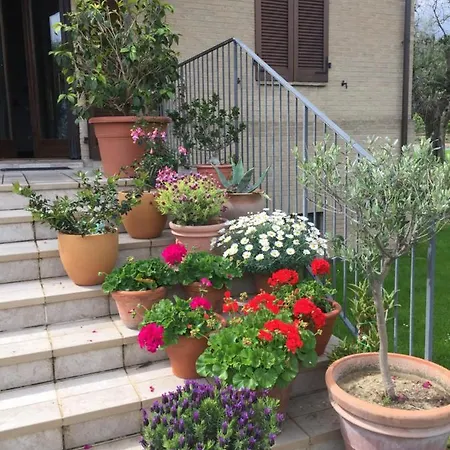 Cecalina Civitanova Marche