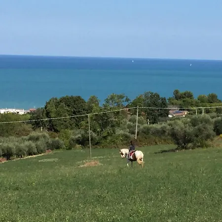 Cecalina * 시비타노바 마르셰