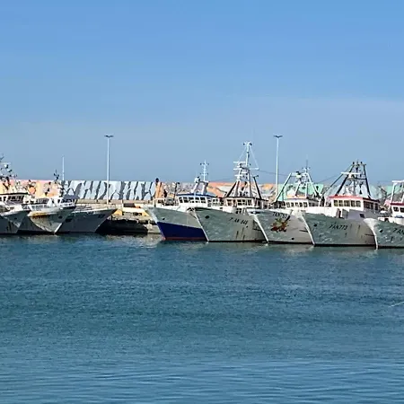 Cecalina 시비타노바 마르셰