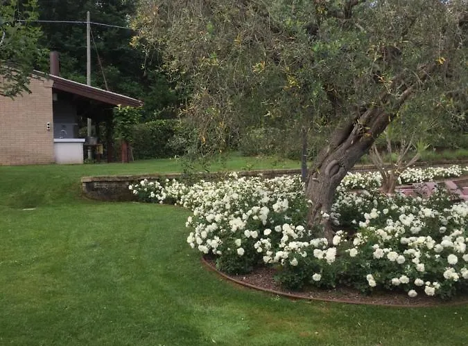 Cecalina * Civitanova Marche