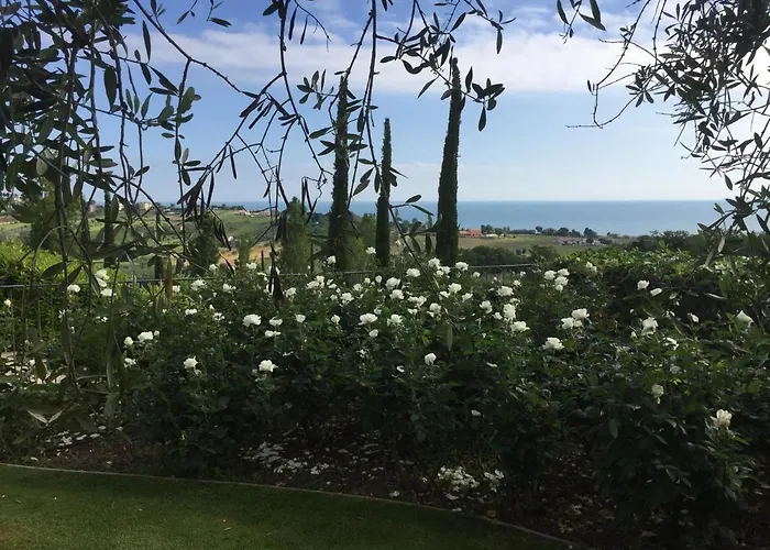 Cecalina * Civitanova Marche