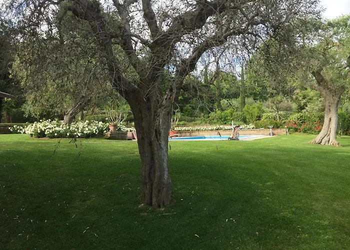 Cecalina Gospodarstwo wiejskie Civitanova Marche