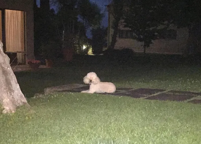 Cecalina Gospodarstwo wiejskie