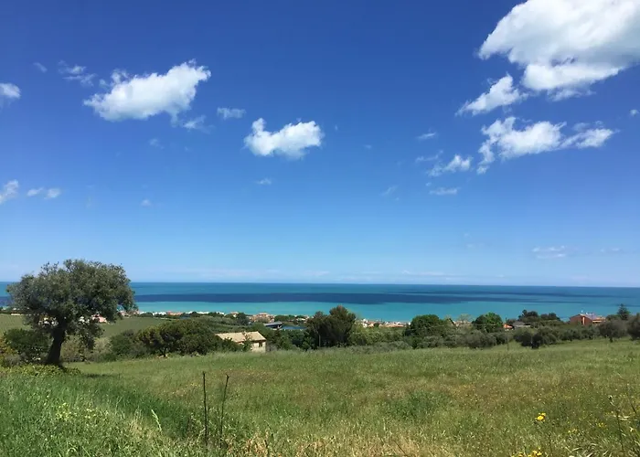 Cecalina * Civitanova Marche