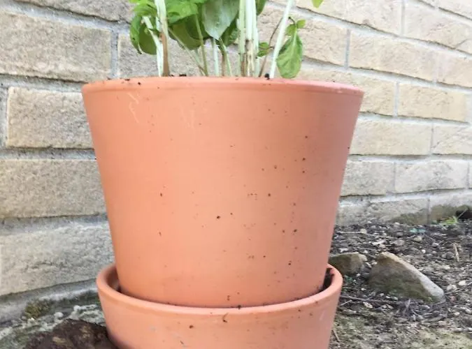 Cecalina Gospodarstwo wiejskie Civitanova Marche