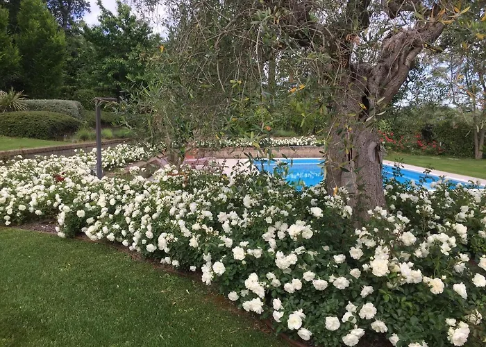 Gospodarstwo wiejskie Cecalina *