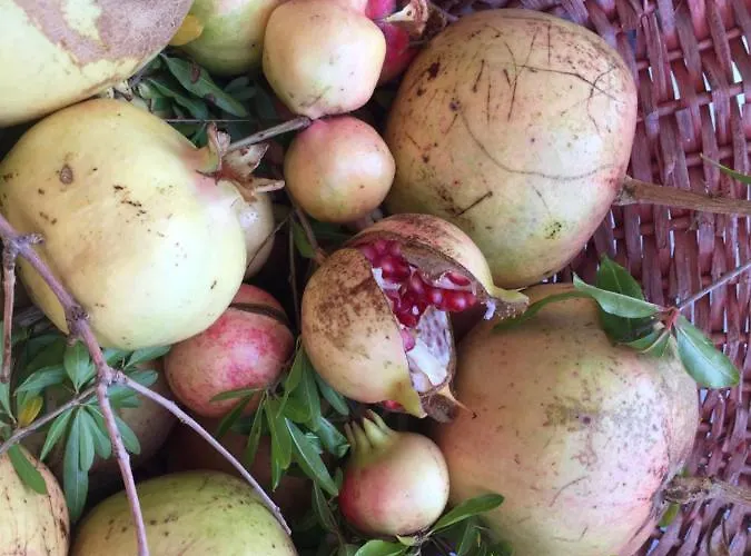 Cecalina Gospodarstwo wiejskie Civitanova Marche