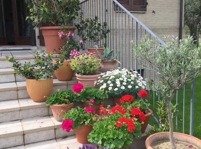 Cecalina Civitanova Marche