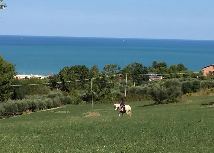 Cecalina * Civitanova Marche