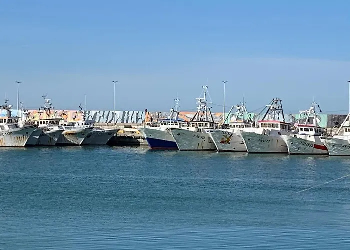 Cecalina Civitanova Marche